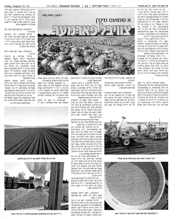 Der Blatt August 15 2014 pg 1