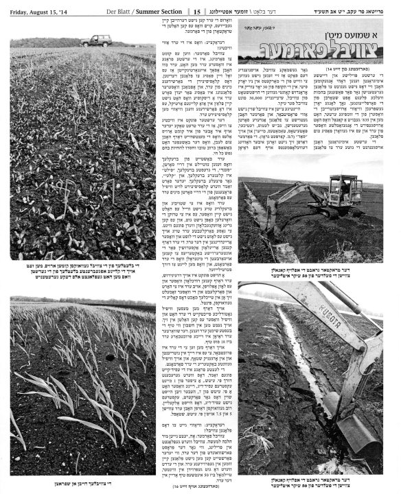 Der Blatt August 15 2014 pg 3